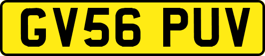 GV56PUV