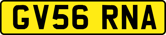 GV56RNA