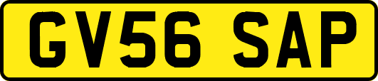 GV56SAP