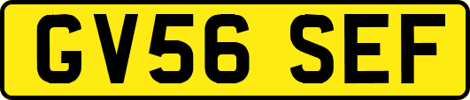 GV56SEF