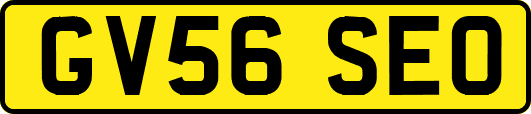 GV56SEO