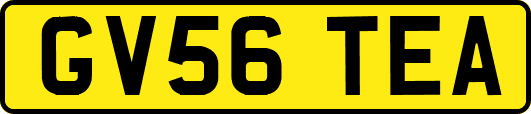 GV56TEA