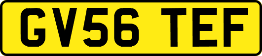 GV56TEF