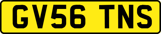 GV56TNS