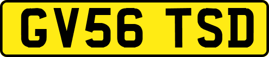 GV56TSD