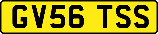 GV56TSS