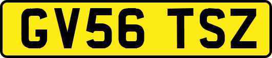 GV56TSZ
