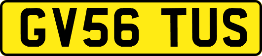 GV56TUS