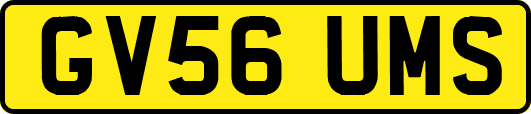 GV56UMS