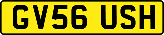 GV56USH