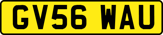 GV56WAU