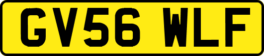 GV56WLF