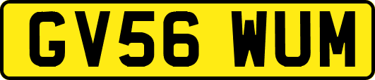 GV56WUM
