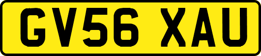 GV56XAU