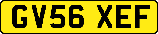 GV56XEF