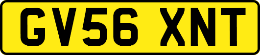 GV56XNT