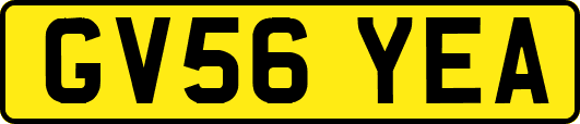 GV56YEA
