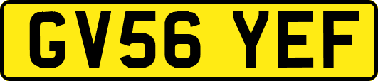 GV56YEF
