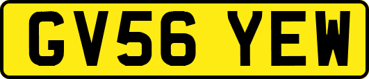 GV56YEW