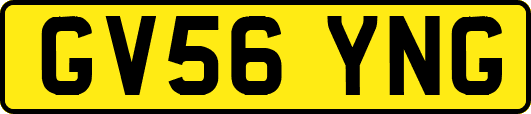 GV56YNG