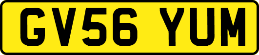 GV56YUM