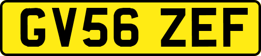 GV56ZEF