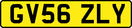 GV56ZLY
