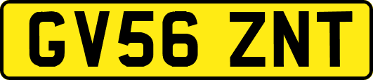 GV56ZNT