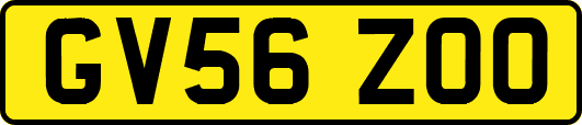 GV56ZOO