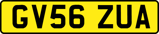 GV56ZUA