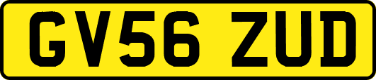 GV56ZUD