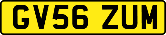 GV56ZUM