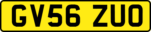 GV56ZUO