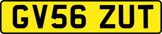 GV56ZUT