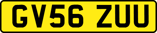 GV56ZUU