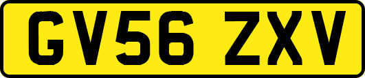 GV56ZXV