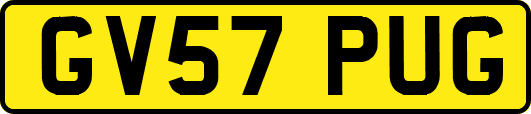 GV57PUG