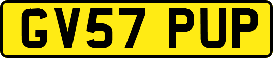 GV57PUP