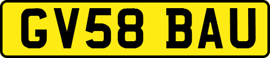 GV58BAU