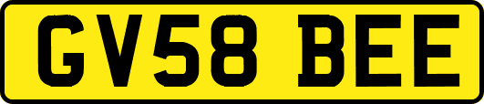GV58BEE