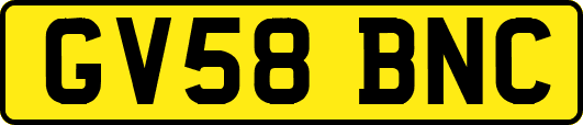 GV58BNC