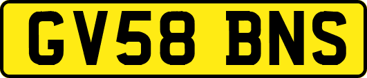 GV58BNS
