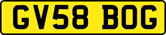 GV58BOG