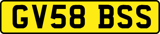 GV58BSS