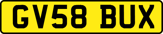 GV58BUX