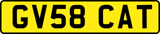 GV58CAT