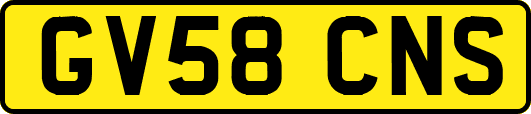 GV58CNS
