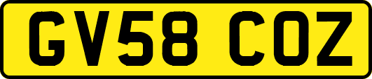 GV58COZ