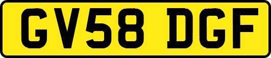 GV58DGF