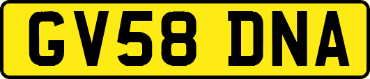 GV58DNA